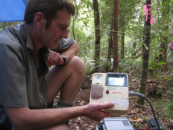Kakapo conservation efforts, Codfish Island