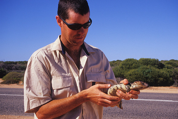 Ross with lizard