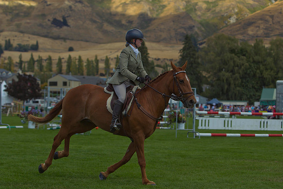 Equestrian 2