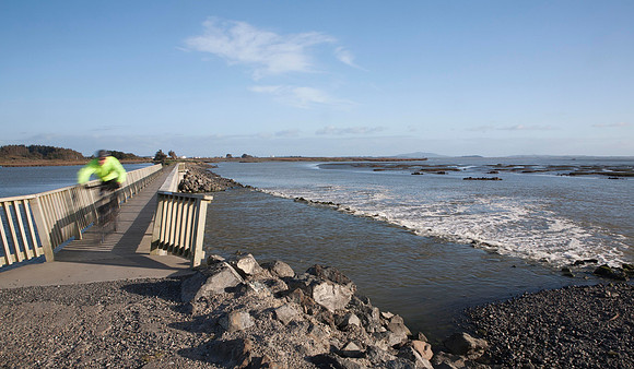 Pedestrian bridge at New River estuary 2