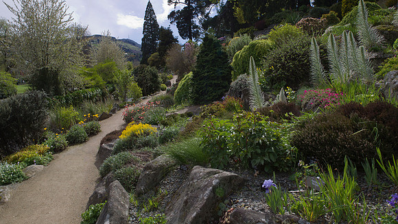 Dunedin Botanic Garden trail