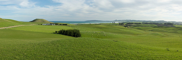 Rolling farmland at Katiki Point 1