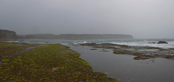 Tidal rock platform at Knife & Steel Harbour