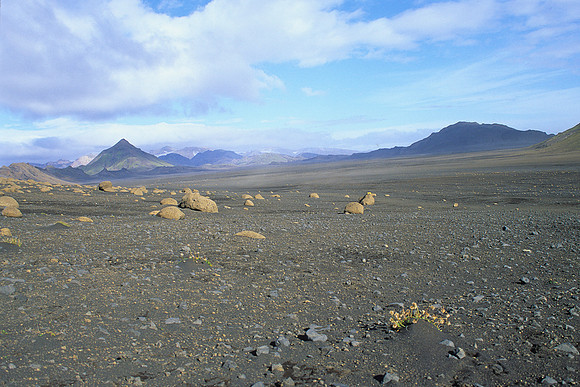 Emstrur lava desert 2