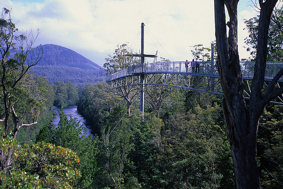 Tahune Forest AirWalk