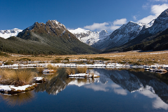 Takahe Valley 8
