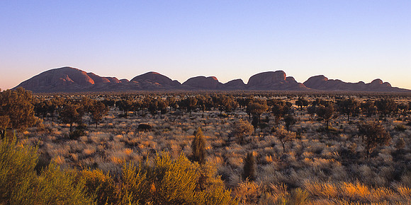 Olgas 7