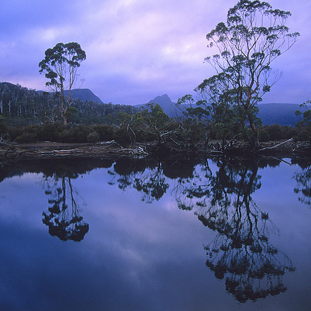 Narcissus river at dusk 2