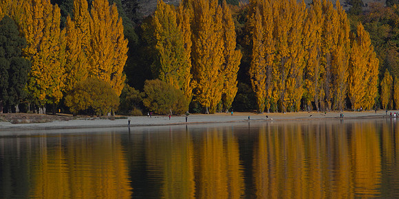 Autumn colours at Lake Wanaka 2