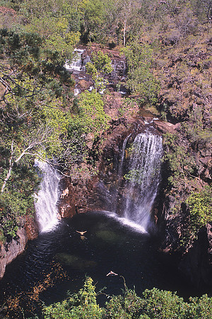 Florence Falls 1