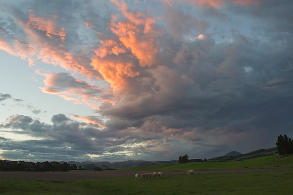 Highlights among the stratocumulus clouds