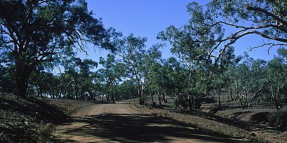Flinders Ranges 12