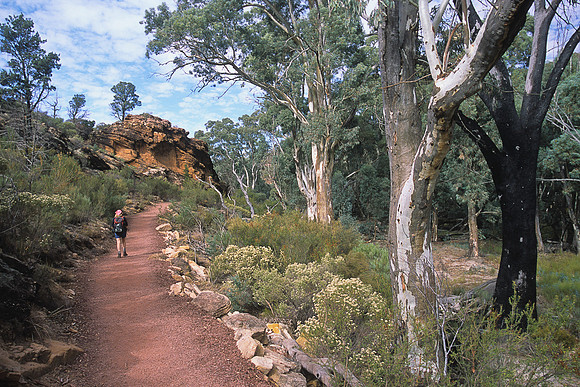 Bush walking at Wilpena Pound 2