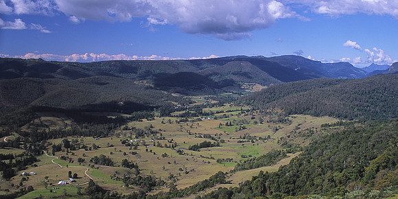 Numinbah,Valley,