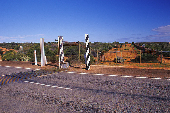 The barking fence