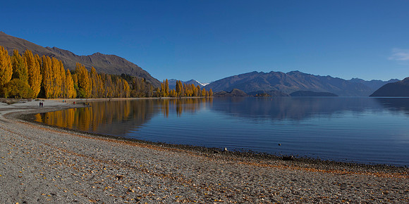 Autumn colours at Lake Wanaka 10