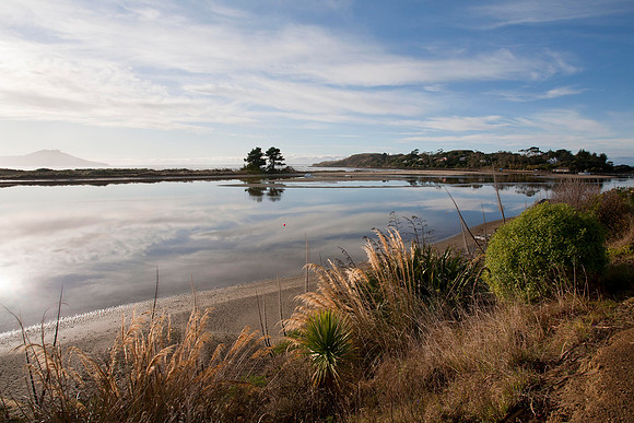 Waikouaiti River 6