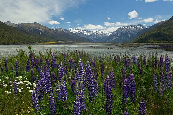 Waimakariri Valley 1