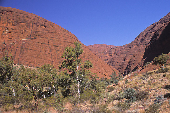 Olgas 20