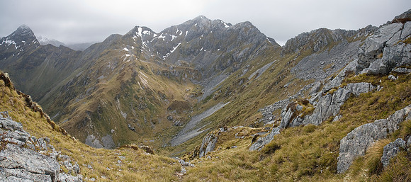 Takahe habitat panorama 1