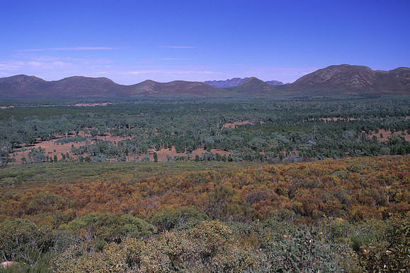 Wilpena Pound 4