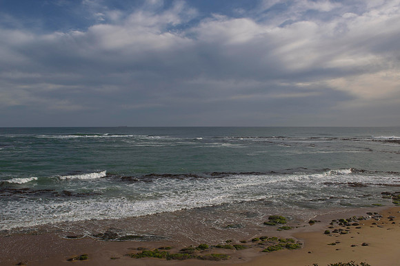 The beach at Waipapa Point