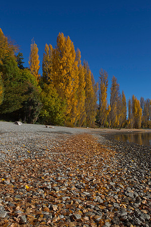 Autumn colours at Lake Wanaka 8
