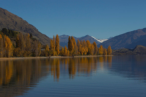 Autumn colours at Lake Wanaka 4