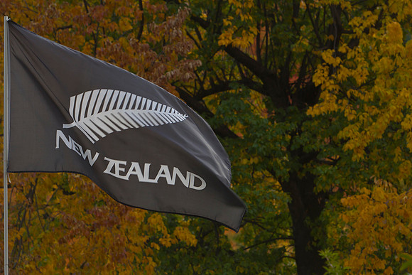 New Zealand flag in the fall