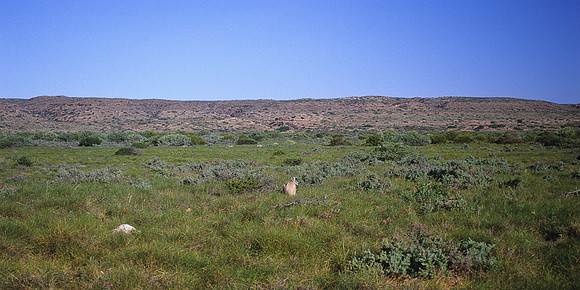 Cape Range 2