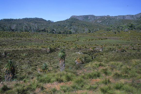 Cradle Valley