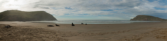 Cannibal Bay panorama 1