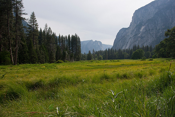 Yosemite Valley 4