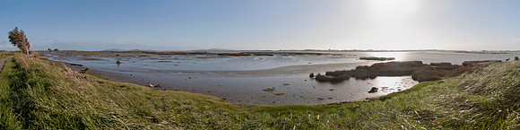 New River Estuary 2