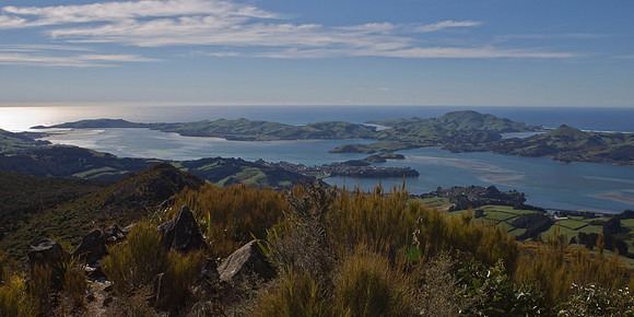 Otago Peninsular 4