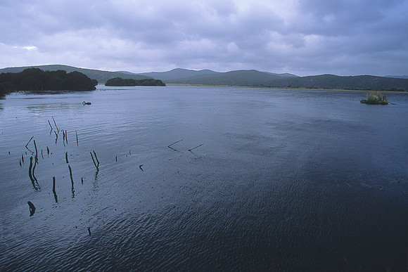 Narawyntapu National Park 2
