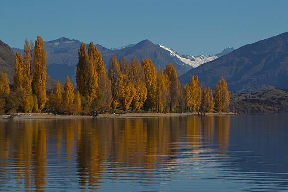 Autumn colours at Lake Wanaka 7