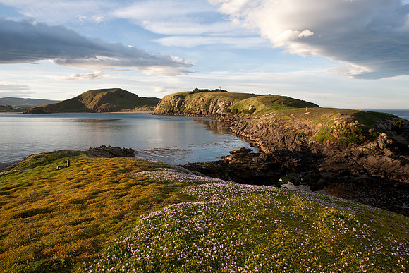 Katiki Point headland 2