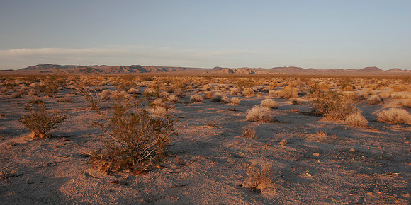 The desert at Mojave National Preserve 2