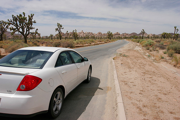 Driving through Joshua Tree