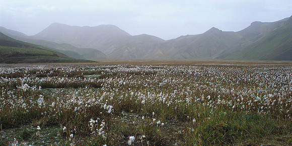 Landmannalauger area