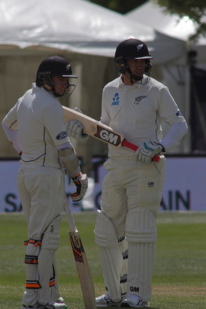 Cricket 2