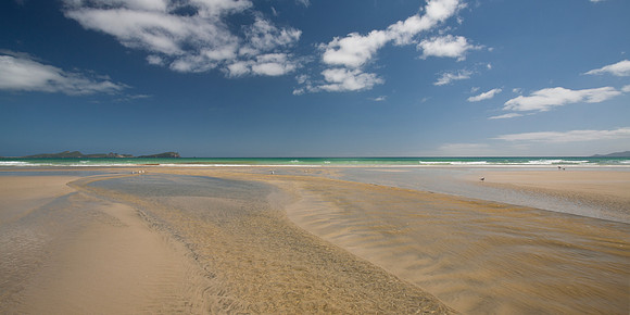 Mason Bay 7