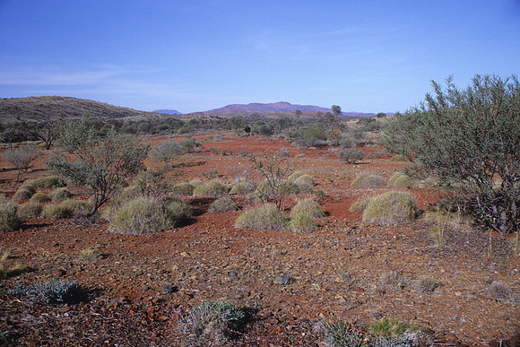 Landscape south of Tom Price