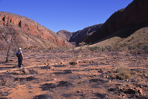 Ormiston 2