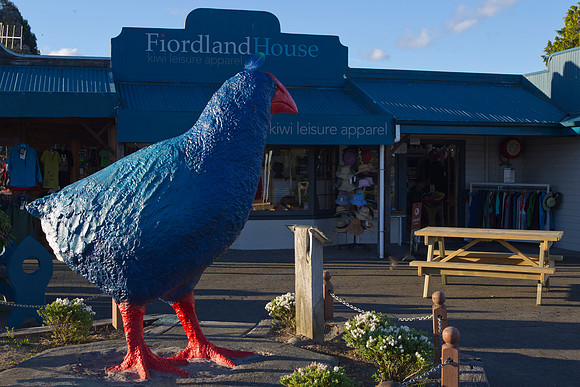 Takahe Statue by Fiordland House