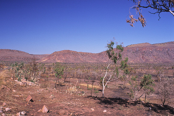 King River in the Kimberleys