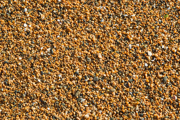 Beach cobblestones 1