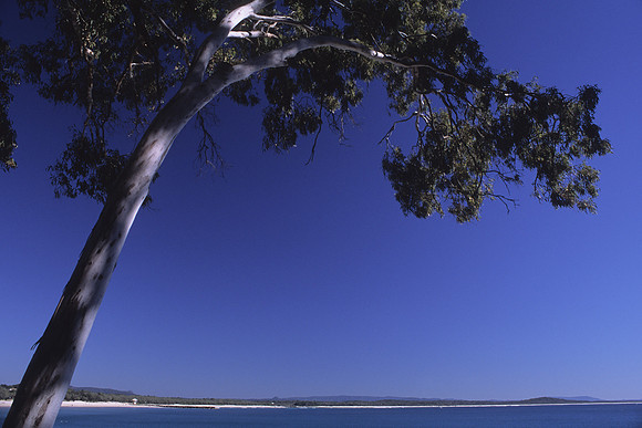 Noosa heads 2