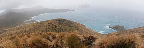 Campbell Island 6